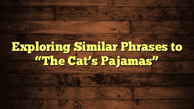 Exploring Similar Phrases to “The Cat’s Pajamas”